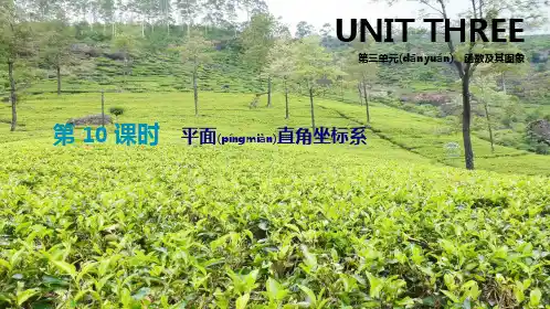 中考数学总复习 第三单元 函数及其图象 第10课时 平面直角坐标系课件