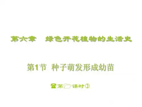 北师大版生物七上第一节《 种子萌发形成幼苗》ppt课件之三]