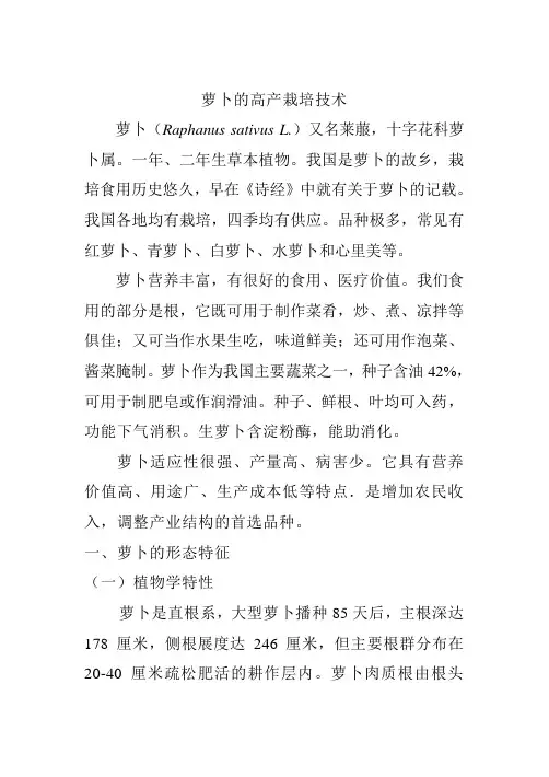 萝卜 胡萝卜栽培技术