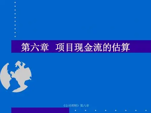 南京大学公司理财第六章