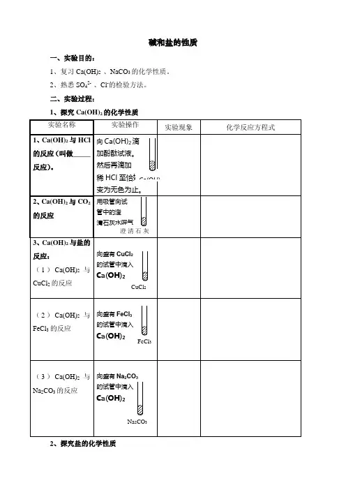 实验《碱和盐的性质》学案