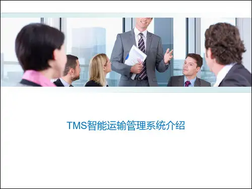 TMS智能运输管理系统