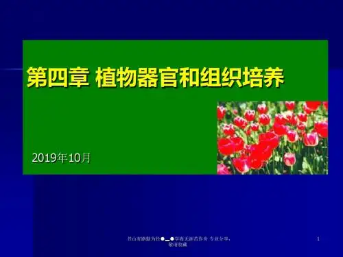 植物器官与组织培养-PPT课件