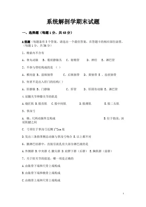 系统解剖学期末试题大全