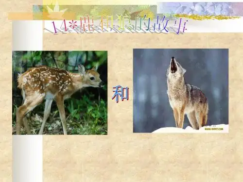 最新人教版六年级语文上册：鹿和狼的故事-优质课件