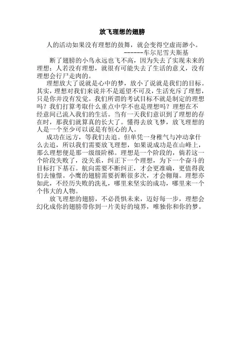 放飞理想的翅膀