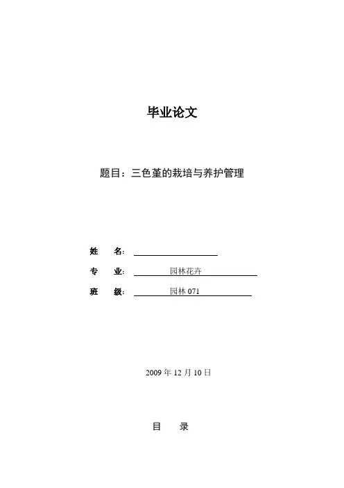 三色堇的栽培与养护管理全解