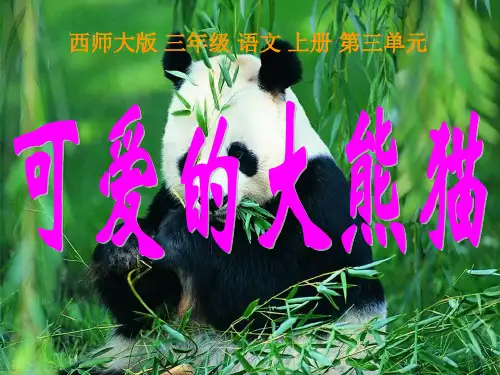 三年级语文上册《可爱的大熊猫》PPT课件