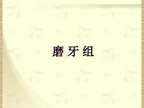 5、磨牙