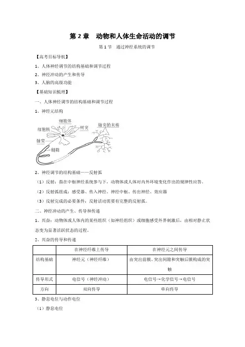 高三生物一轮知识讲解复习学案：《通过神经系统的调节》人教版必修