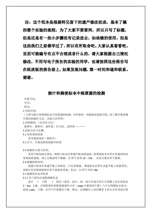 微生物实验报告模板