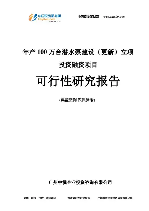 年产100万台潜水泵建设(更新)融资投资立项项目可行性研究报告(中撰咨询)