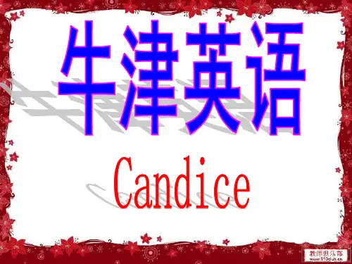 新概念第九十课课件