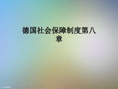 德国社会保障制度第八章