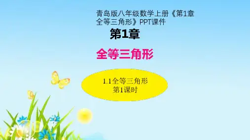 青岛版八年级数学上册《第1章全等三角形》PPT课件