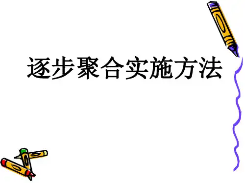 逐步聚合实施方法课件.ppt