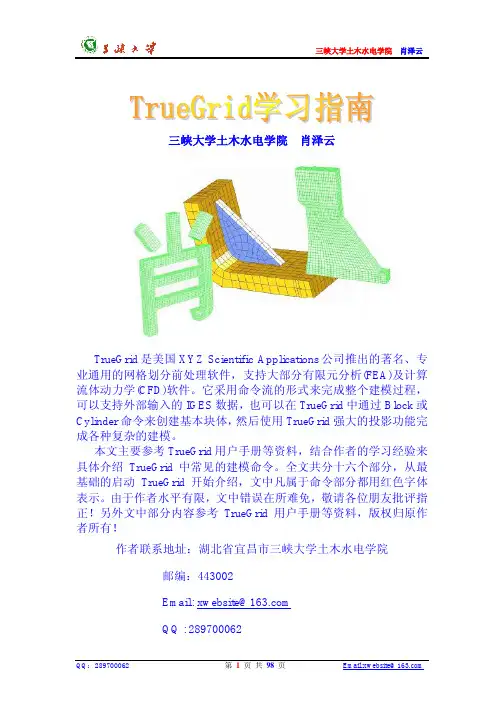 TrueGrid学习指南