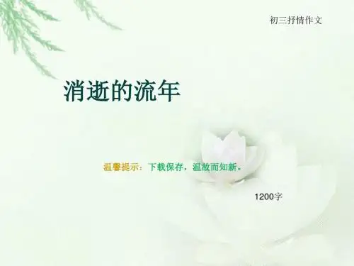 初三抒情作文《消逝的流年》1200字(总15页PPT)