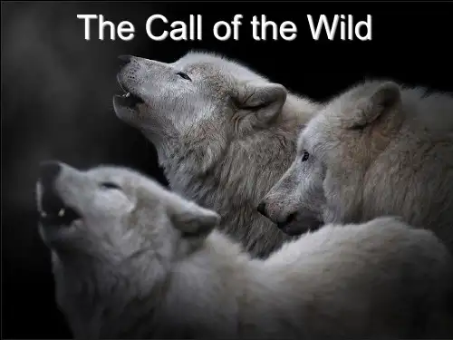 The Call of the Wild 野性的呼唤