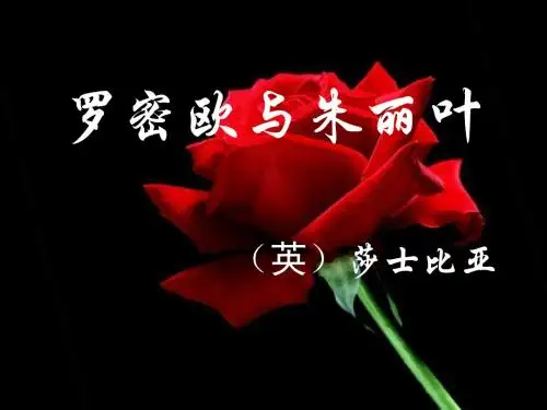 《罗密欧与朱丽叶》