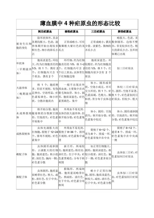 薄血膜中4种疟原虫的形态比较