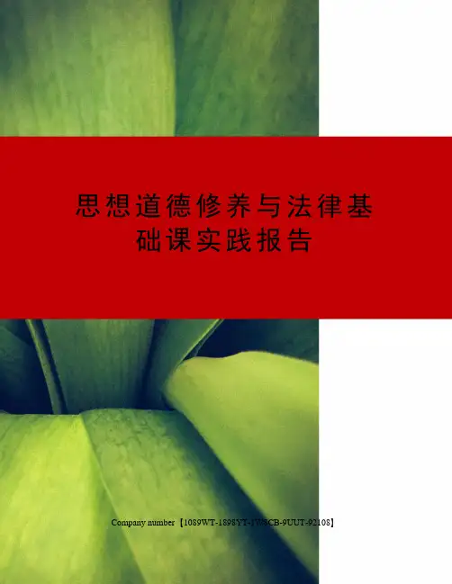 思想道德修养与法律基础课实践报告