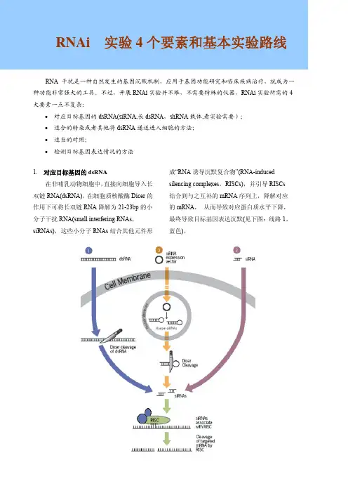 RNAi实验4 个要素和基本实验路线