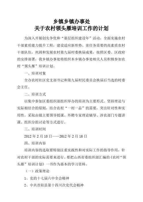 农村领头雁培训工作的计划