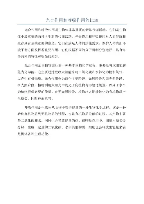 光合作用和呼吸作用的比较