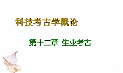 生业考古