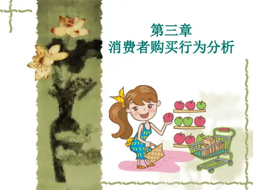 3_消费者行为分析(PPT40页)