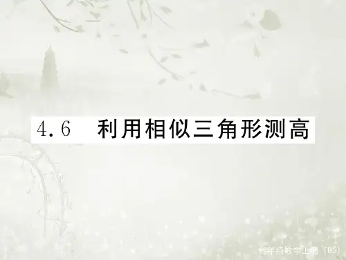 2017_2018学年九年级数学上册4.6利用相似三角形测高习题课件 北师大版