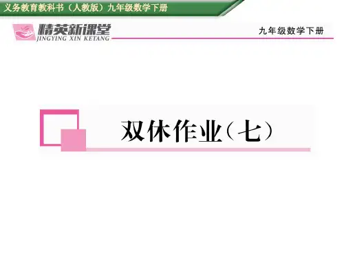 《锐角三角函数》ppt课件3