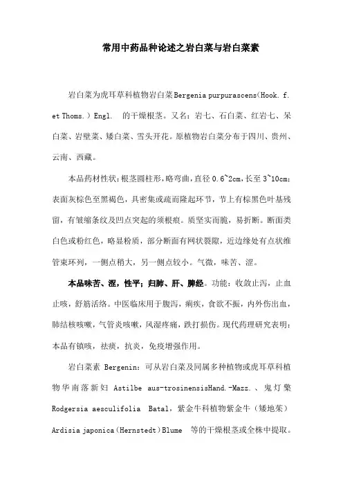 常用中药品种论述之岩白菜与岩白菜素
