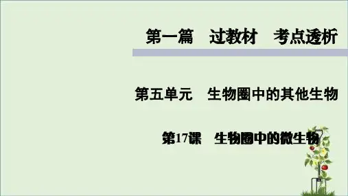 人教版七年级上册生物知识点精讲课件生物圈中的微生物