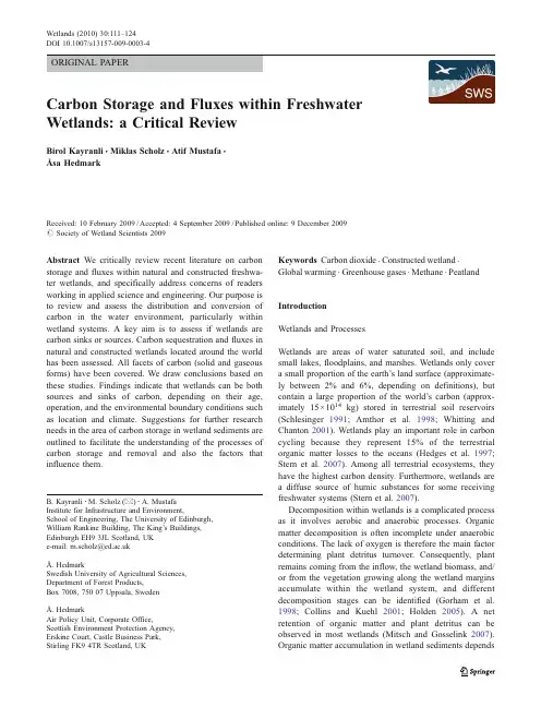 CARBONSTORAGE-FLUXES-FRESHWATERWETLANDS-W2010