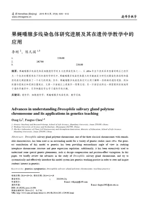 果蝇唾腺多线染色体研究进展及其在遗传学教学中的应用-生物通