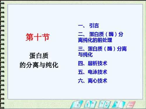 蛋白质分离技术(全)讲解
