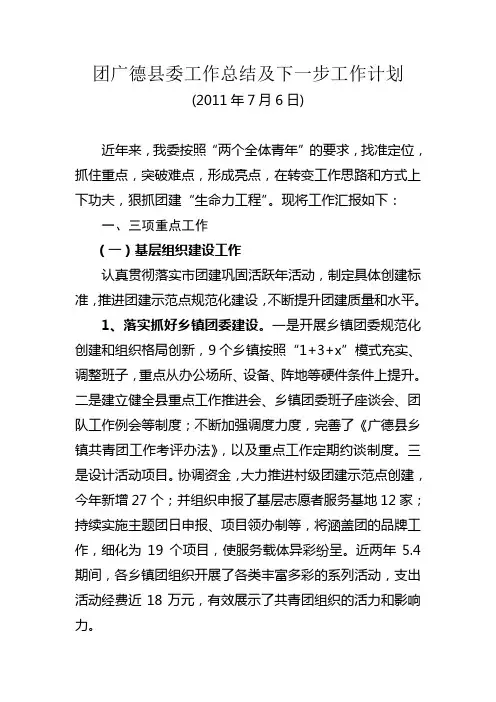 团县委工作总结及下一步工作计划