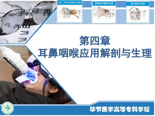 五官科学-第四章耳鼻咽喉应用解剖与生理概述