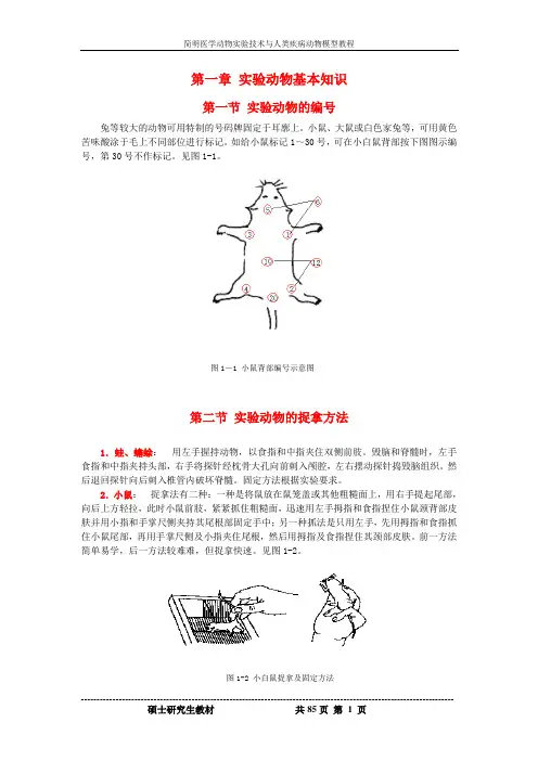动物模型论述