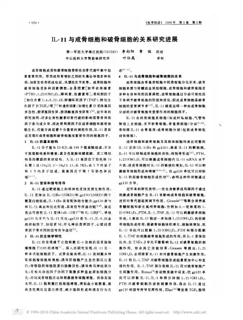 IL_11与成骨细胞和破骨细胞的关系研究进展
