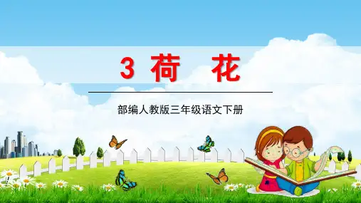 人教部编版三年级语文下册《荷花》教学课件精品PPT小学优秀完整课件
