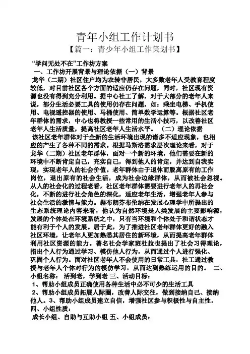 青年小组工作计划书