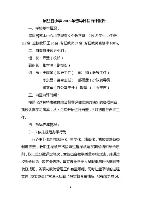 2016督导评估自查自评报告 2