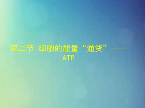 新人教版必修1高中生物专题5.2细胞的能量通货——ATP