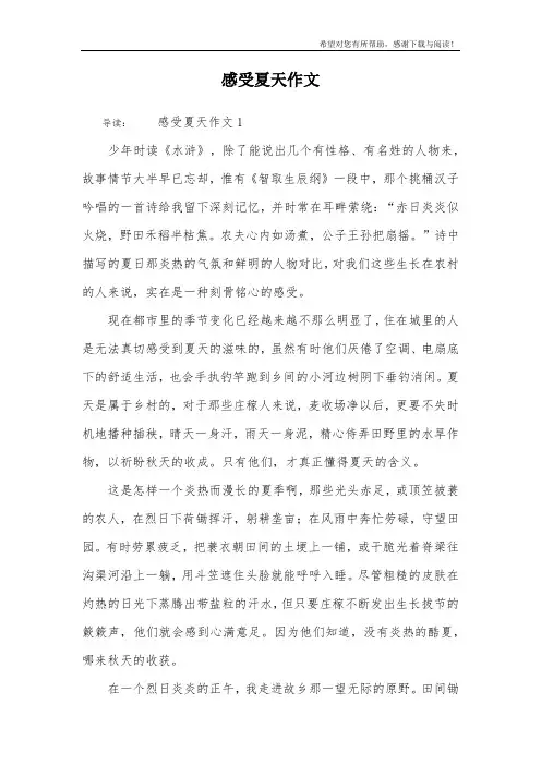 感受夏天作文