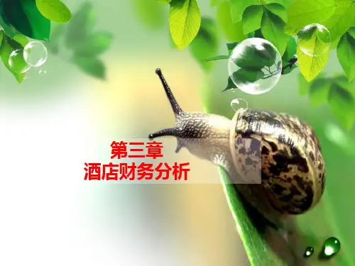 第三章 酒店财务报表分析