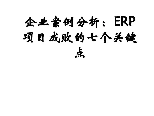 ERP成功因素案例分析