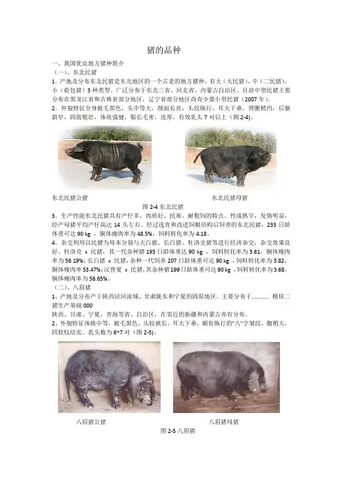 猪的常见品种